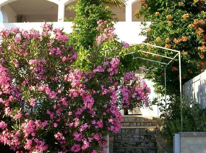 814b アパート ティスノ